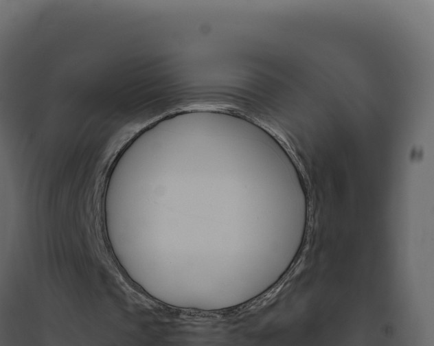 X0000094810337200711161009