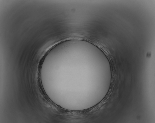 X0000094810338200711161009