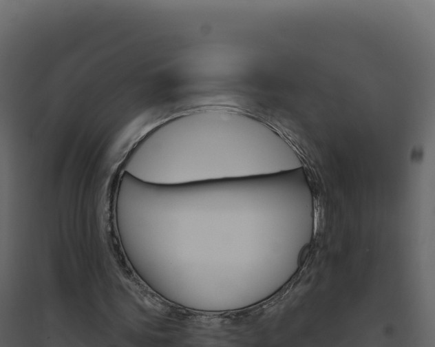 X0000094810339200711161009