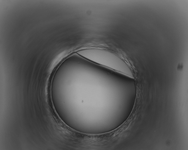 X0000094810340200711161009