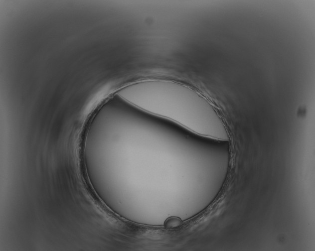 X0000094810341200711161009