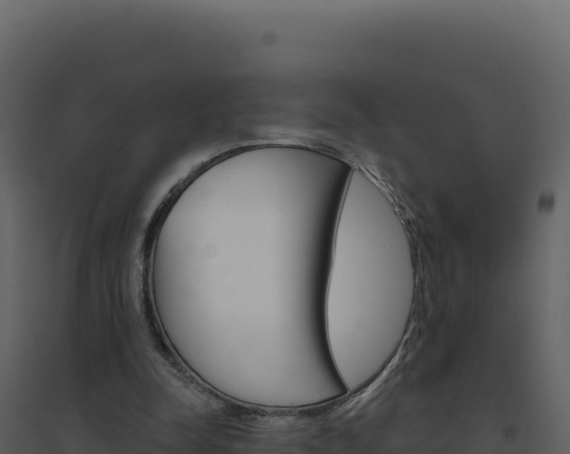 X0000094810342200711161009