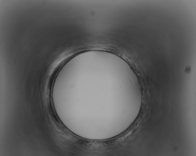 X0000094810343200711161009