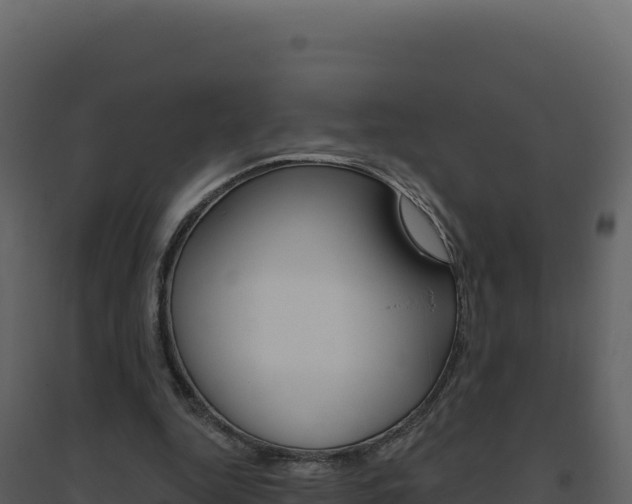 X0000094810344200711161009
