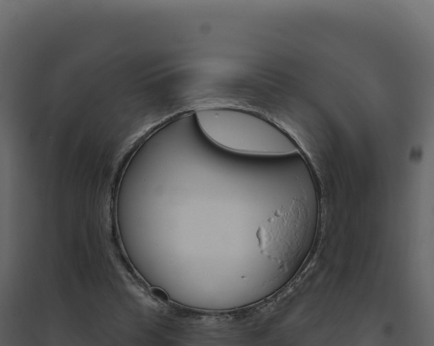 X0000094810345200711161009