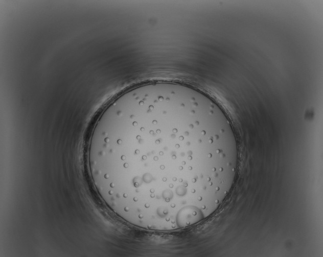 X0000094810346200711161009