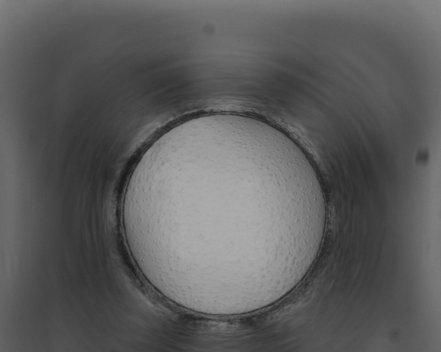 X0000094810347200711161009