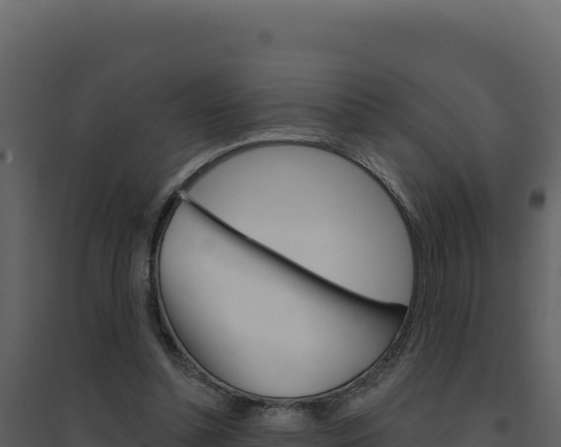 X0000094810348200711161009