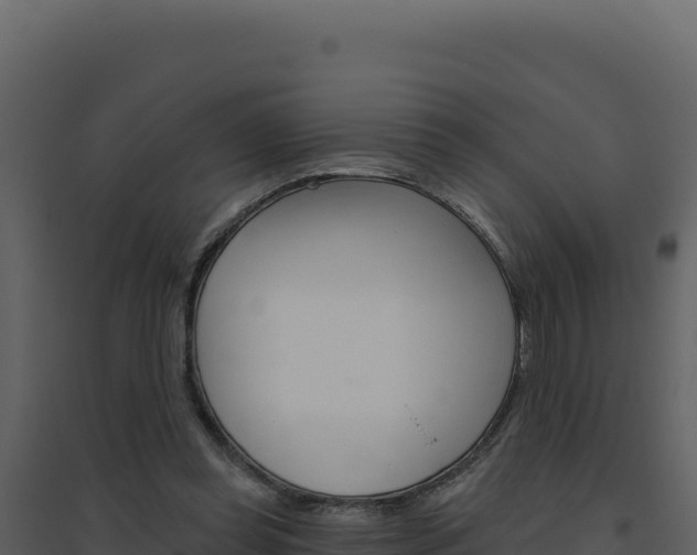 X0000094810349200711161009