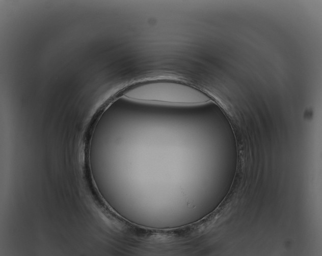 X0000094810350200711161009