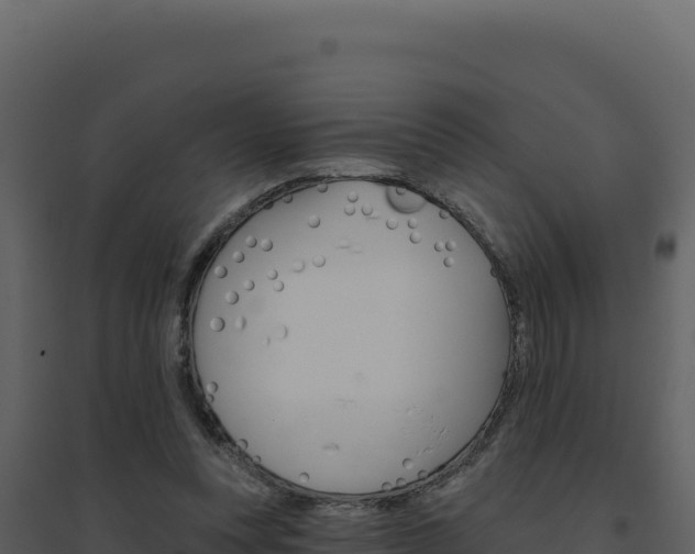 X0000094810351200711161009