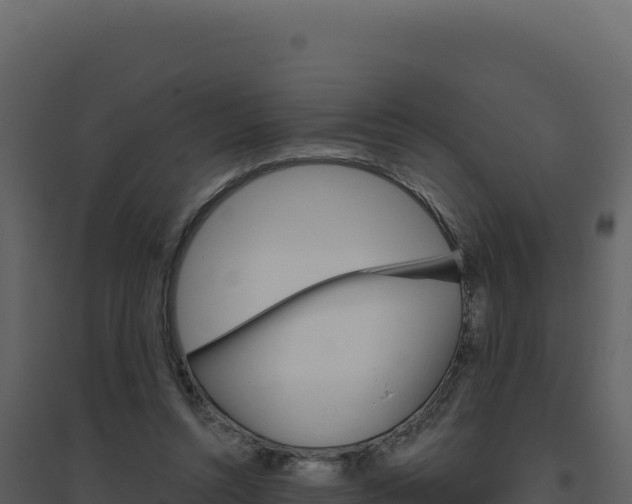 X0000094810352200711161009