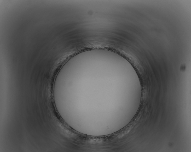X0000094810353200711161009