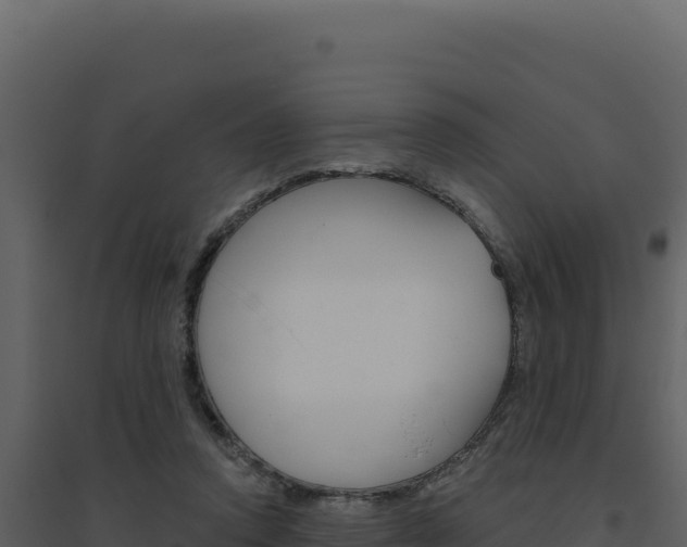 X0000094810354200711161009