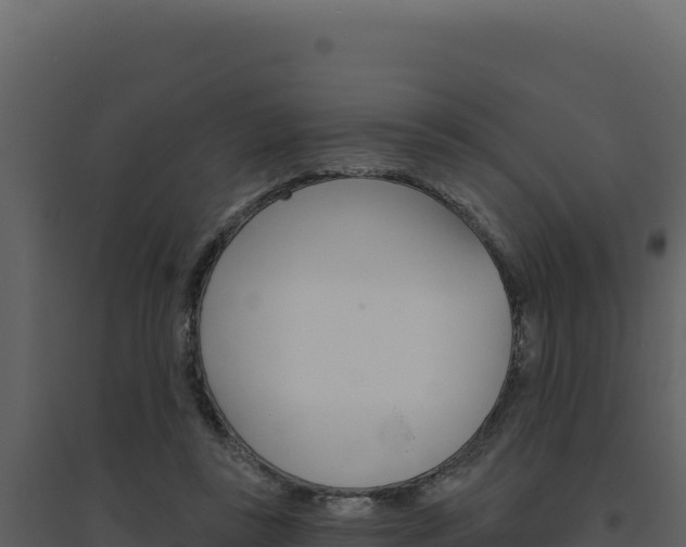 X0000094810355200711161009