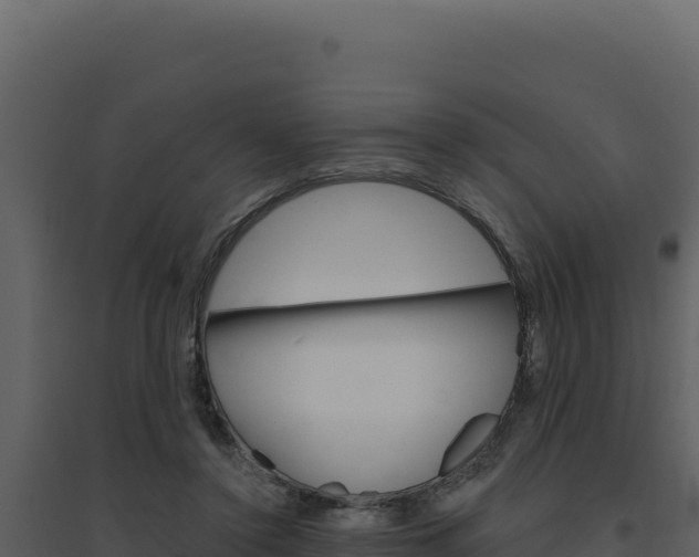 X0000094810356200711161009