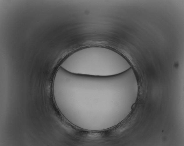 X0000094810357200711161009