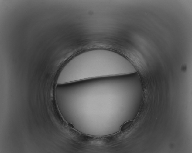 X0000094810358200711161009