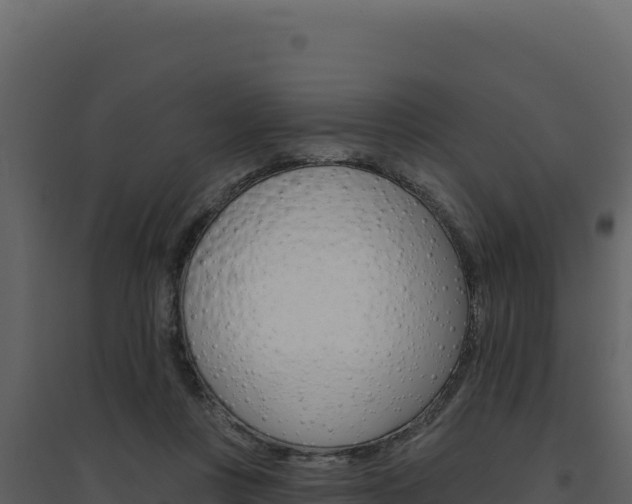 X0000094810359200711161009