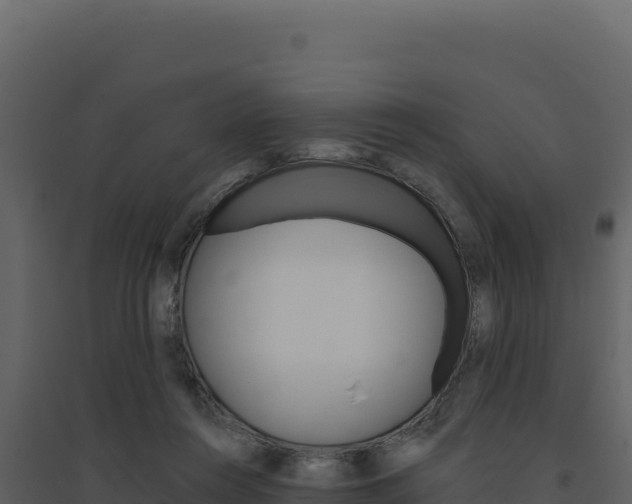 X0000094810360200711161009