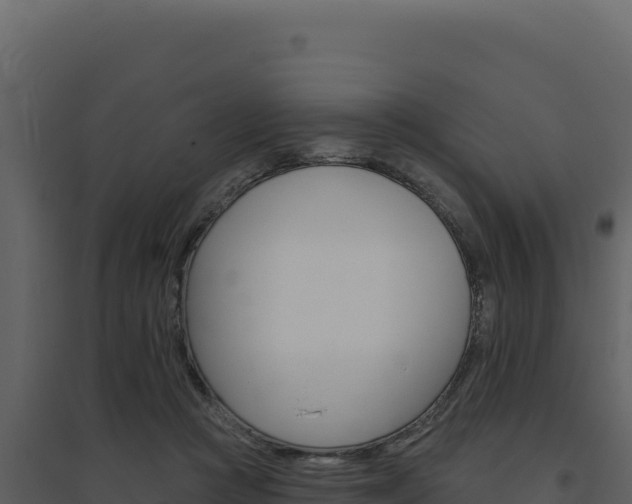 X0000094810361200711161009