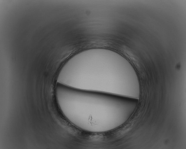 X0000094810362200711161009