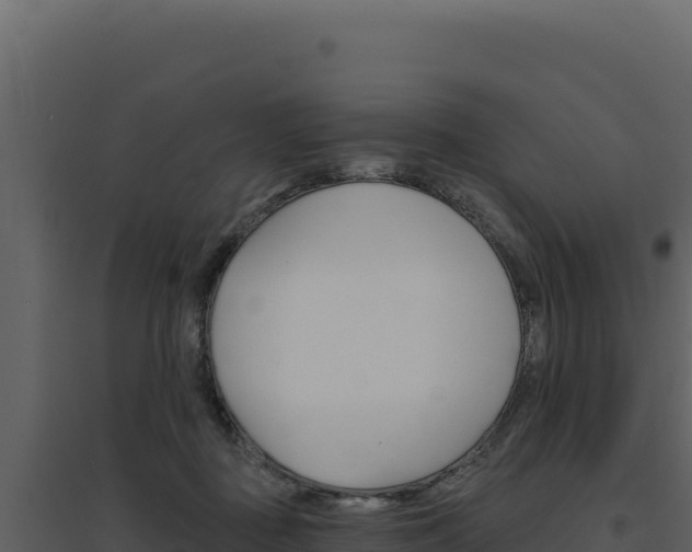 X0000094810363200711161009