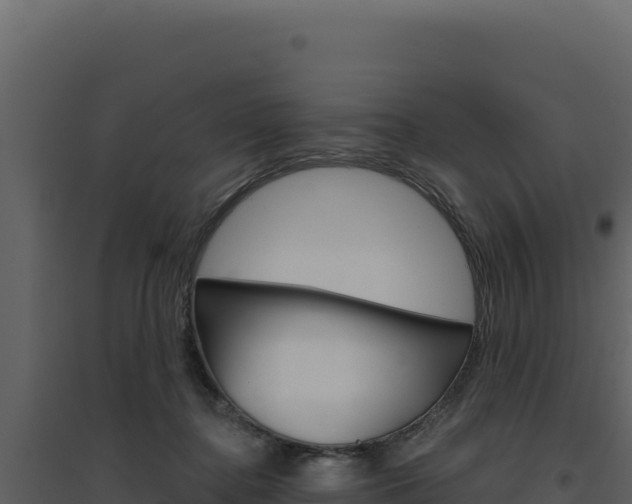 X0000094810364200711161009