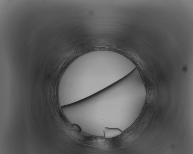 X0000094810365200711161009