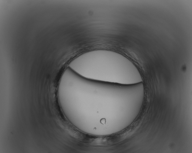 X0000094810366200711161009