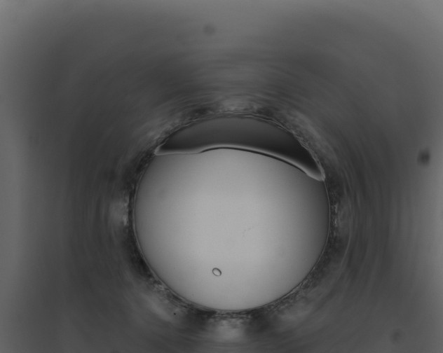 X0000094810368200711161009