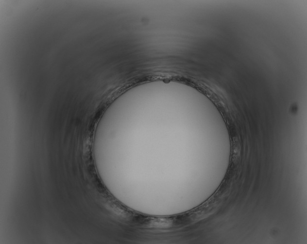 X0000094810369200711161009