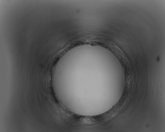 X0000094810372200711161010