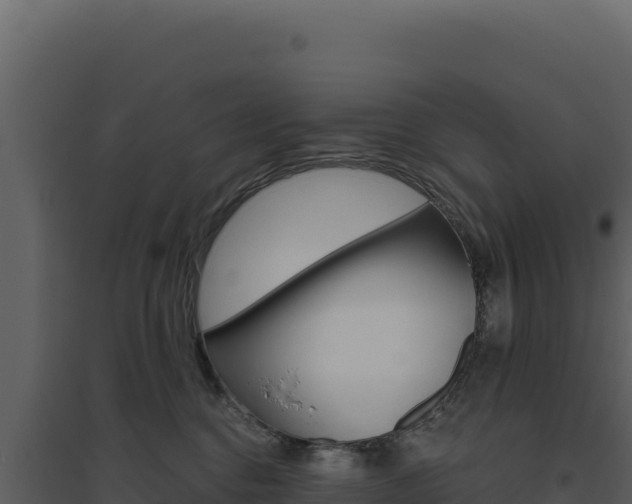 X0000094810376200711161010