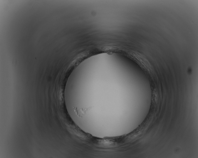 X0000094810380200711161010