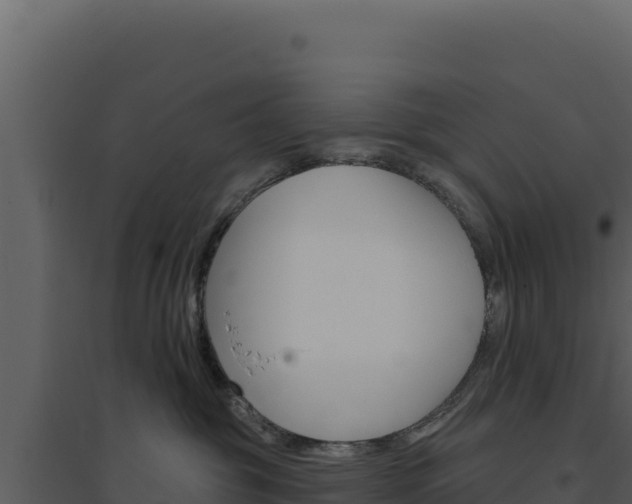 X0000094810381200711161010