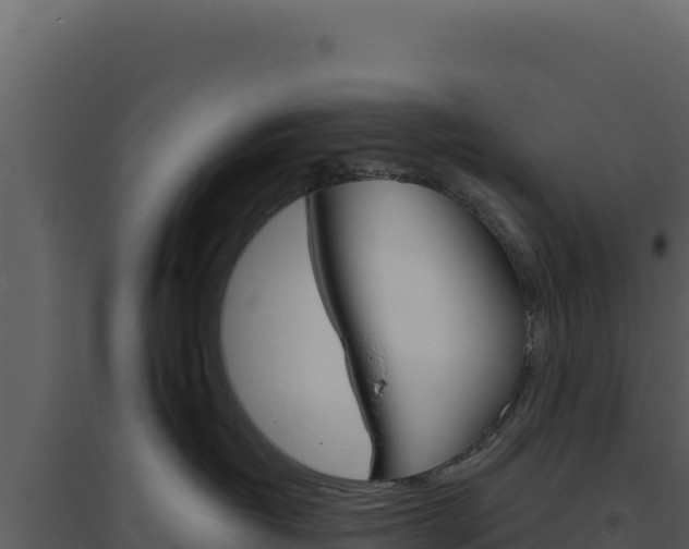 X0000094810382200711161010