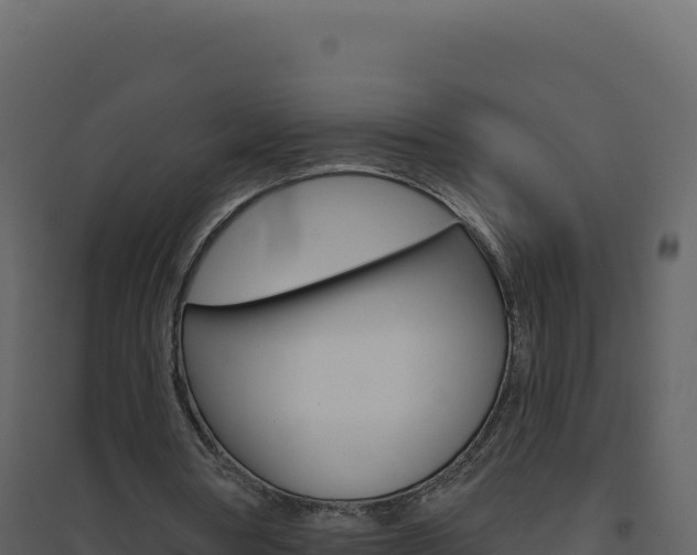 X0000094810386200711161009