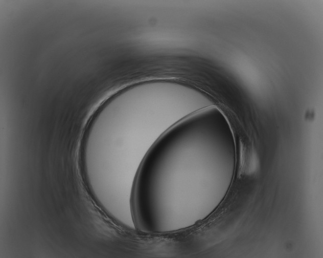 X0000094810387200711161009