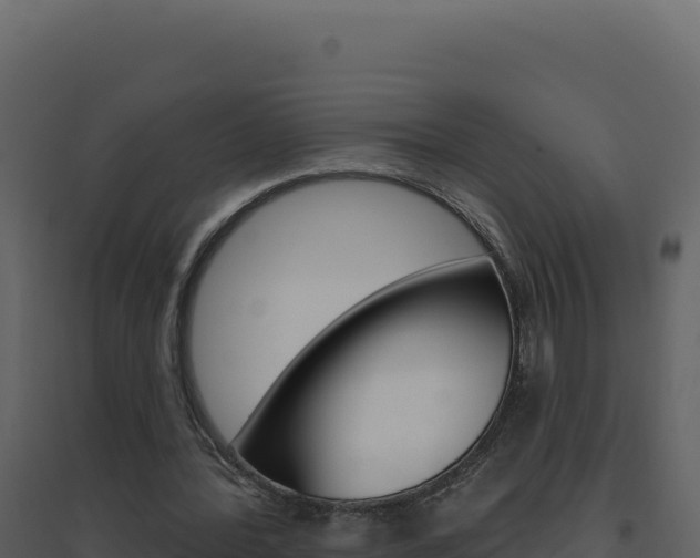 X0000094810388200711161009