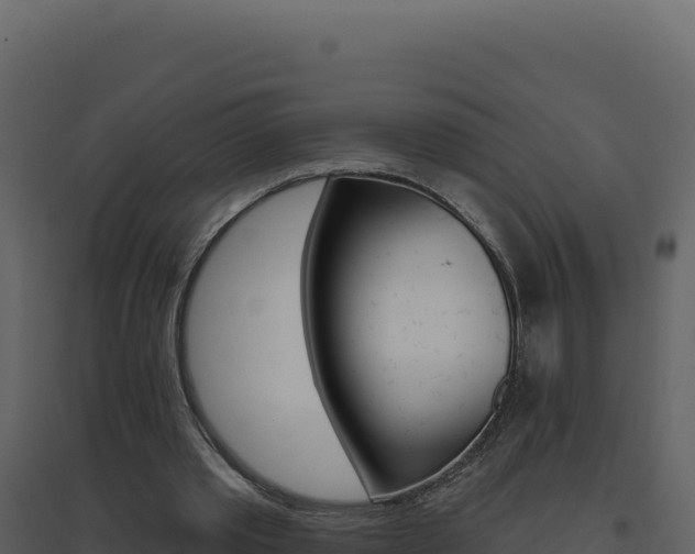 X0000094810389200711161009