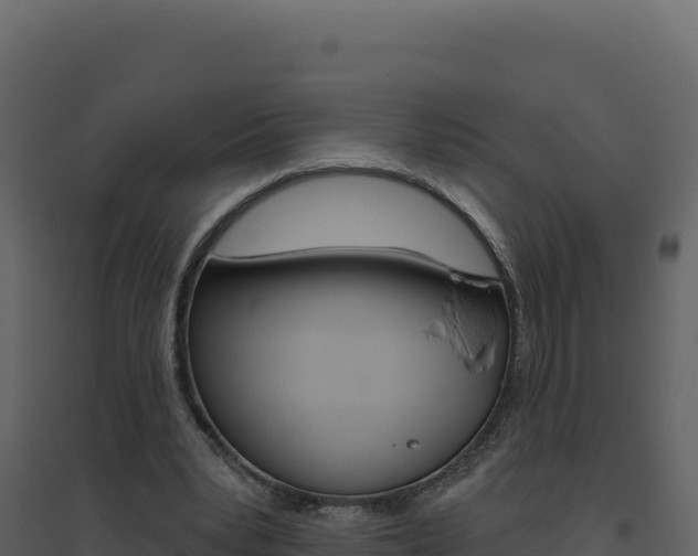 X0000094810391200711161009