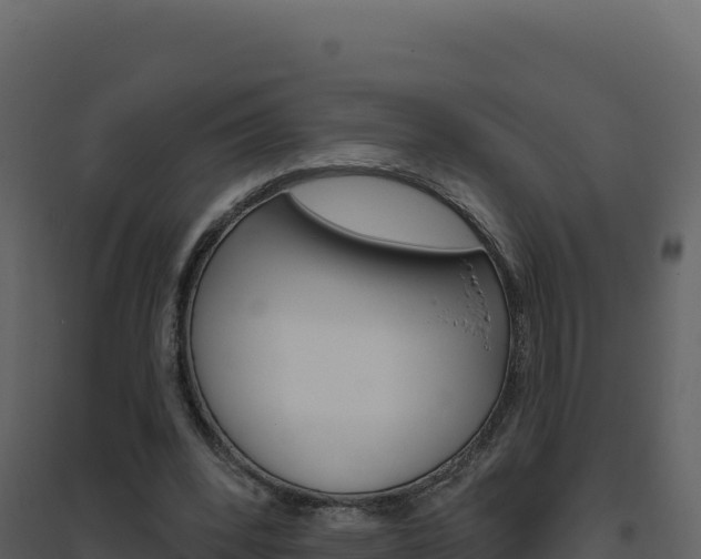 X0000094810392200711161009