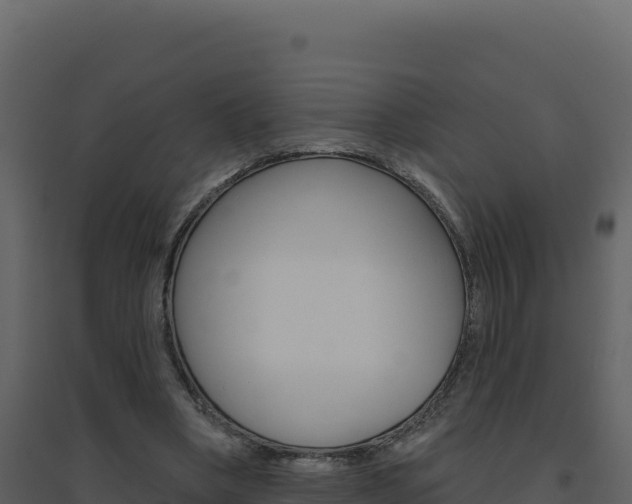X0000094810394200711161009
