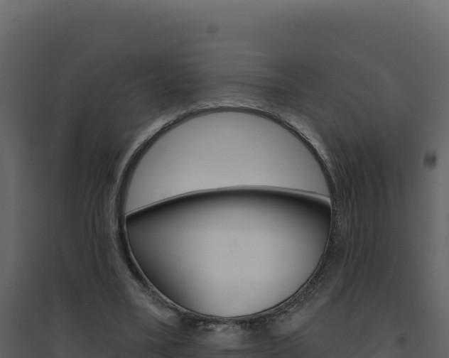 X0000094810395200711161009