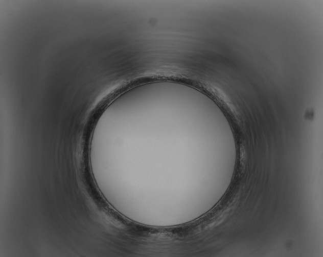 X0000094810396200711161009