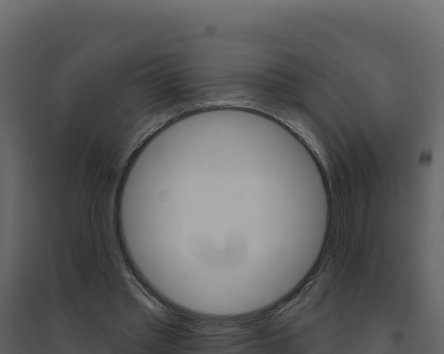 X0000094810397200711161009