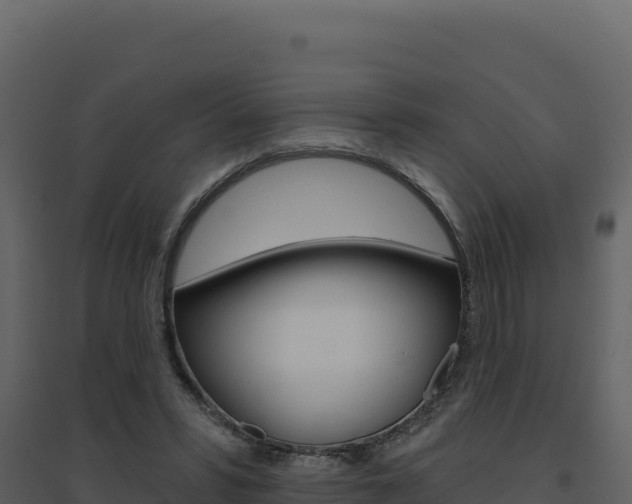 X0000094810399200711161009