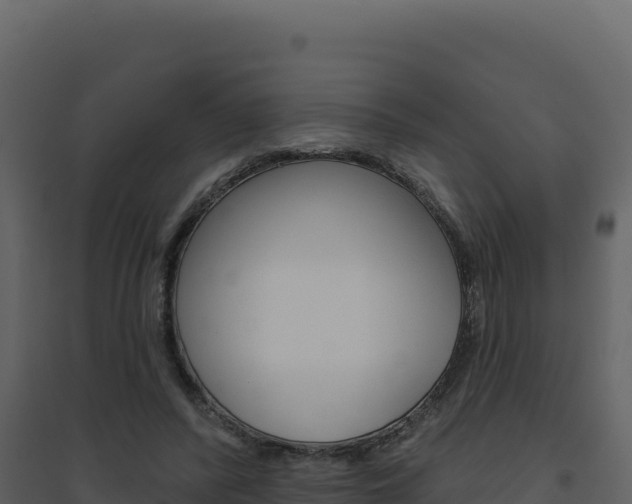 X0000094810400200711161009