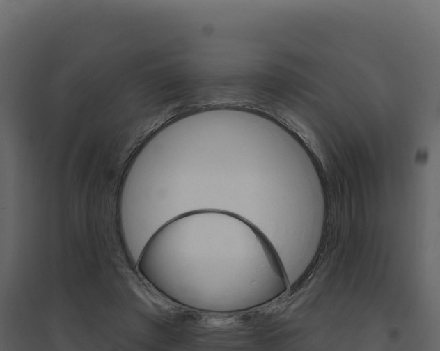 X0000094810401200711161009